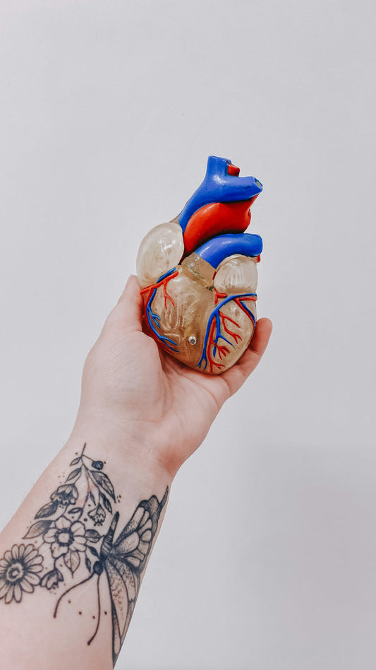 Coenzyme Q10 (CoQ10) — The Cellular Energy Fuel and Heart Health Protector
