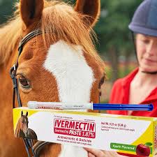 Durvet 6 Pack of Ivermectin Paste, 0.21 Ounces each, Apple Flavored Horse Wormer
