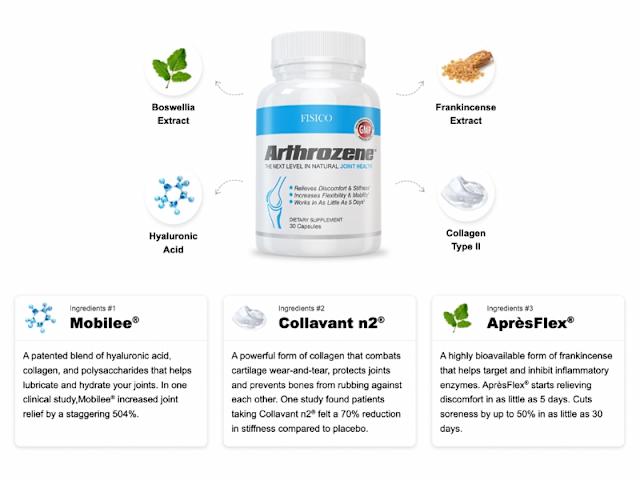 Joint Support Supplement - Promotes Mobility, Flexibility, and Comfort - 30 Capsules