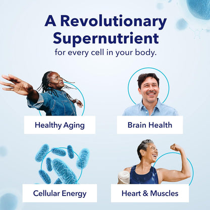TRU NIAGEN Patented NAD+ Supplement for Anti Aging and Cell Regeneration, 300 mg Niagen, 90 Servings | 1 Bottle