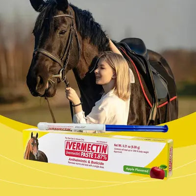 Durvet 6 Pack of Ivermectin Paste, 0.21 Ounces each, Apple Flavored Horse Wormer