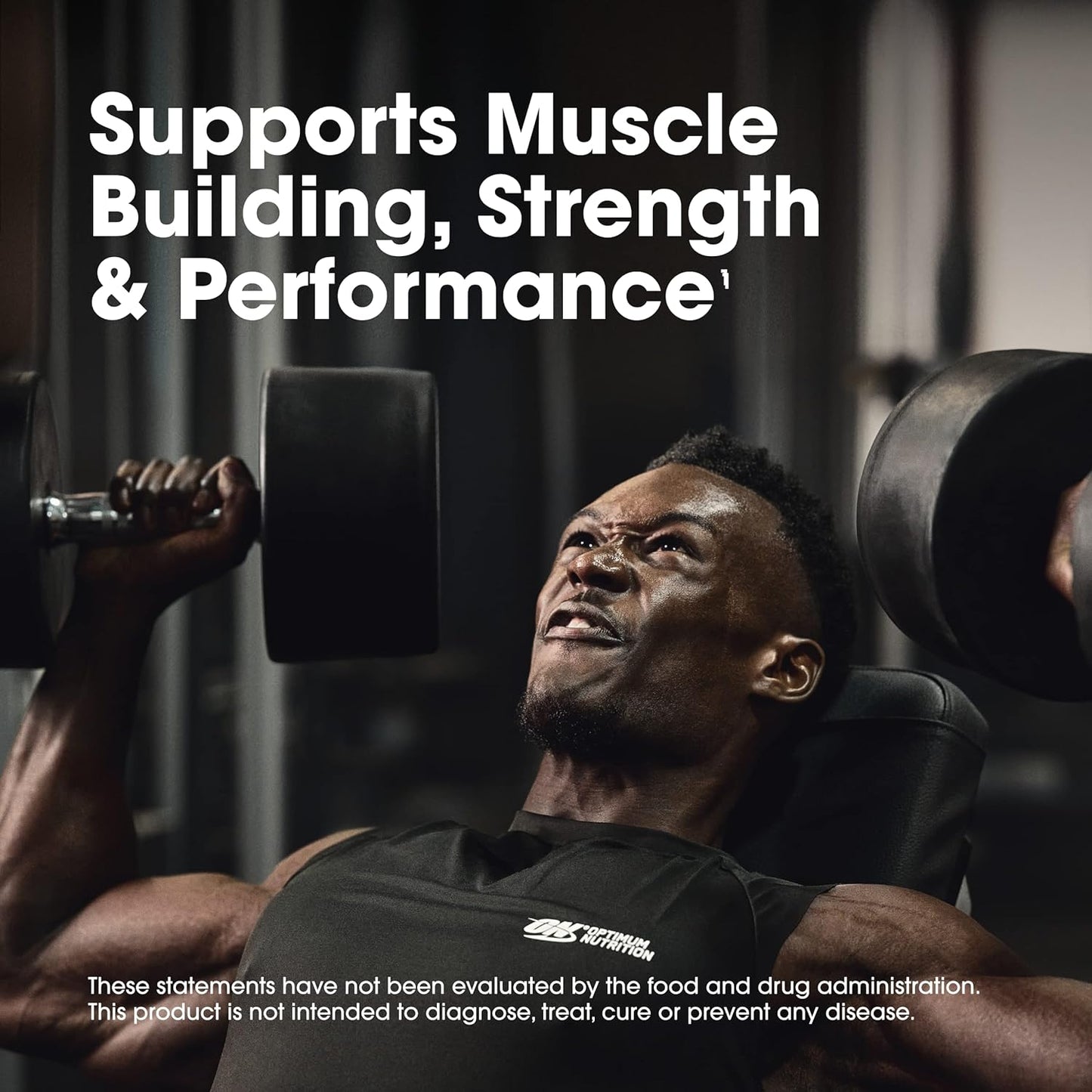Optimum Nutrition Micronized Creatine Monohydrate Capsules