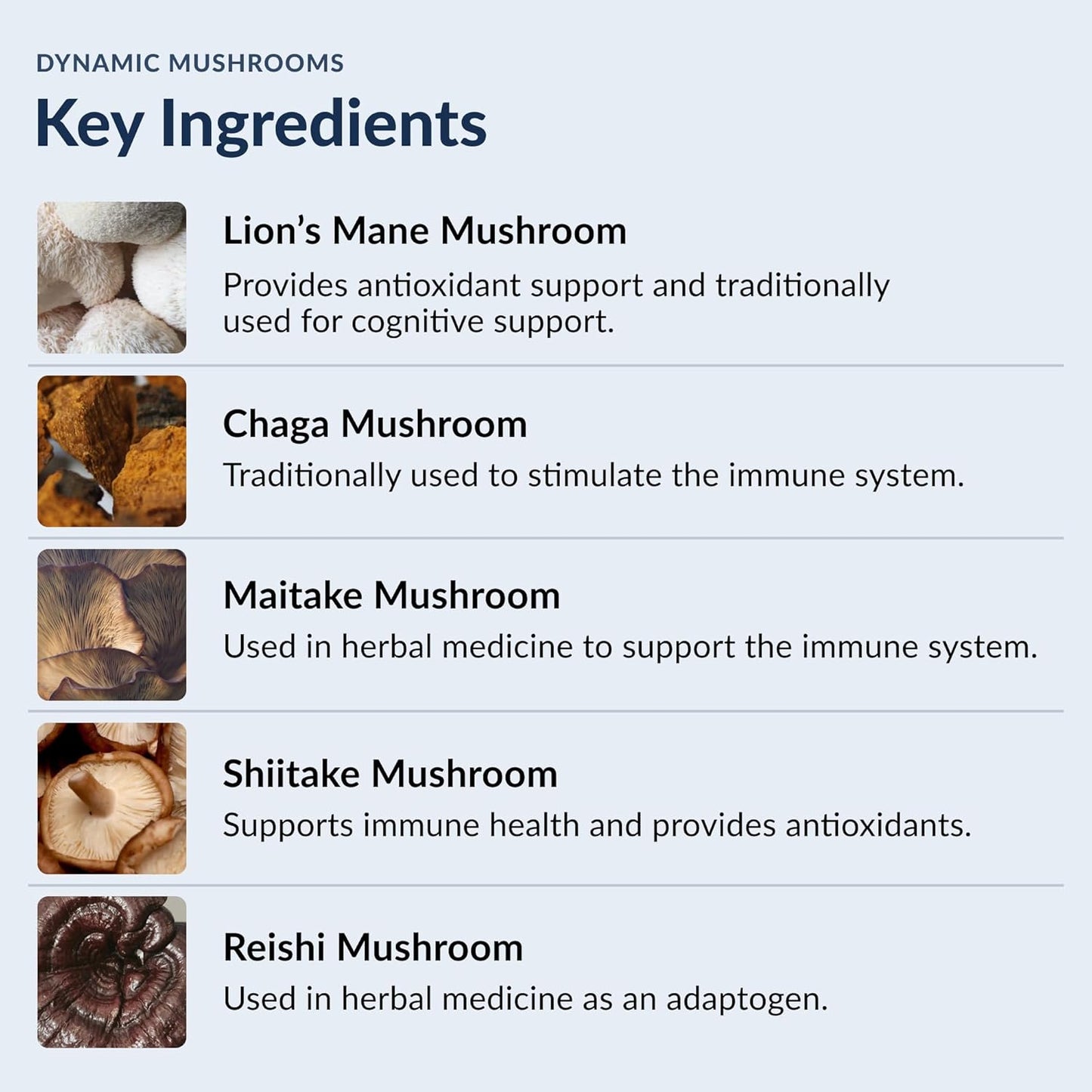 Stonehenge Health Dynamic Mushrooms - 100% Fruiting Bodies &amp; Extracts  - No Mycelium - 60 Veggie Capsules