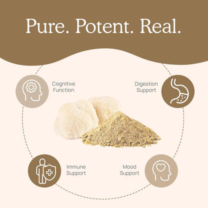 Real Mushrooms Lions Mane Supplement Capsules, Vegan Mushroom Supplements in 120 Capsules