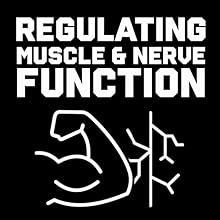 Jocko Fuel Magnesium Complex Supplement
