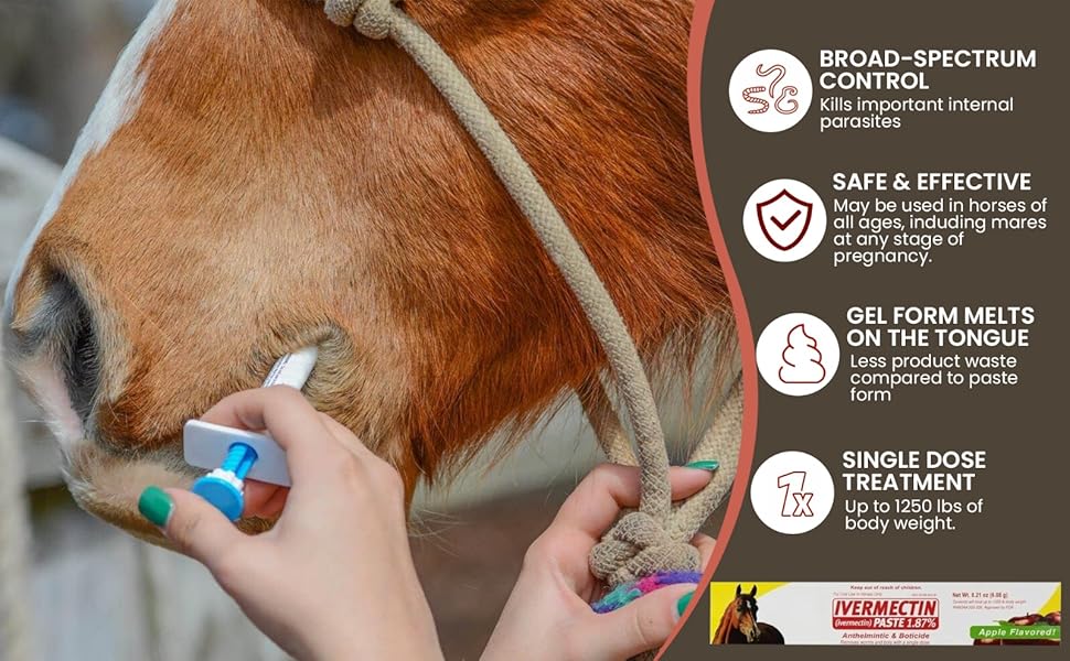 Durvet 6 Pack of Ivermectin Paste, 0.21 Ounces each, Apple Flavored Horse Wormer