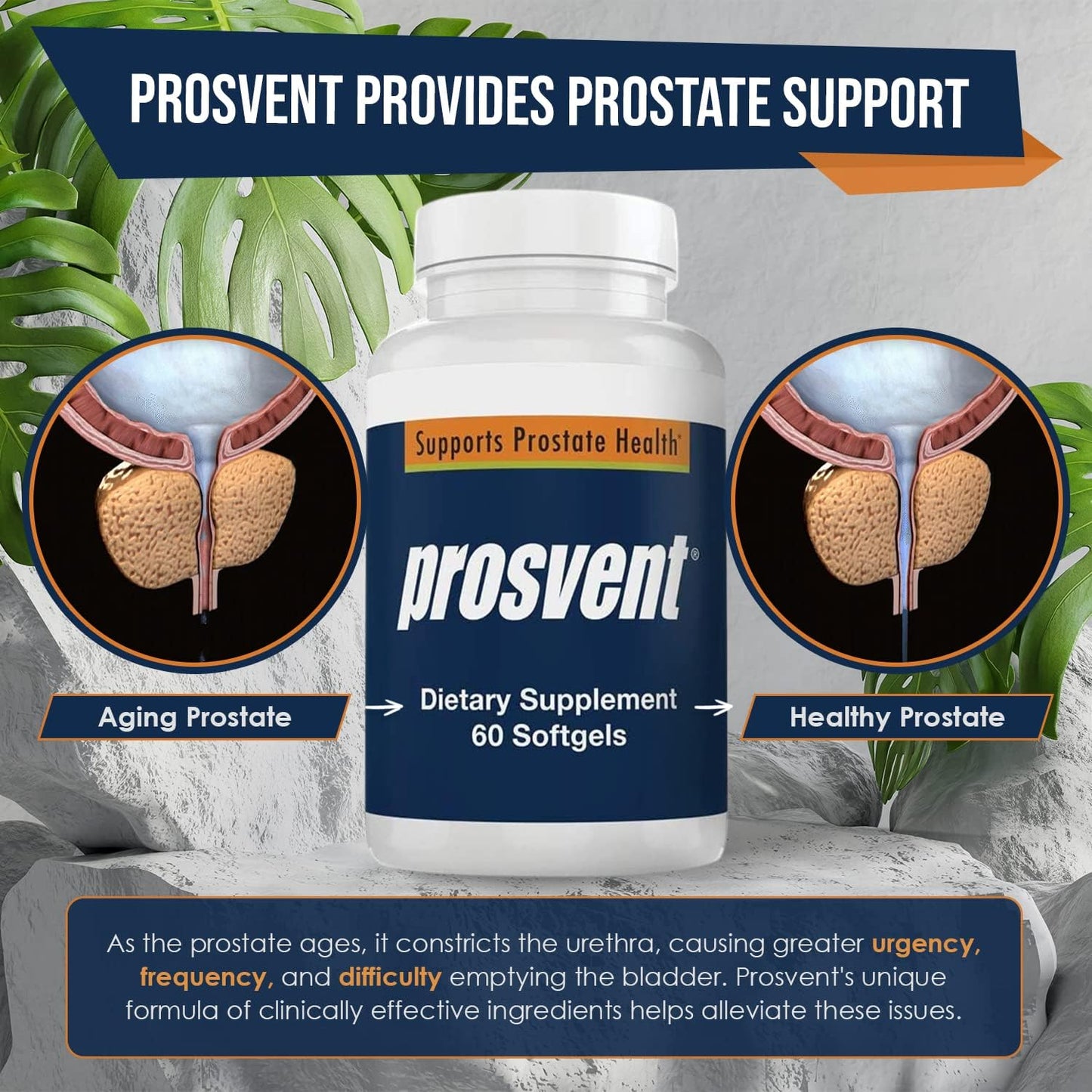 Advanced Men's Prostate Support Natural Supplement (60 Count)